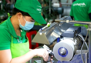 Viet Nam to amend law on personal income tax