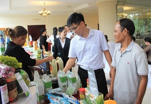 HCM City seeks to enhance trade ties with provinces in south central costal region