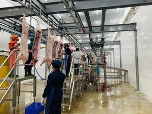 Industrial slaughtering enterprises face closure due to losses