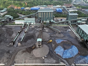 EVN proposes to extend coal payment