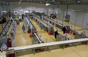 Doveco Son La fruit and vegetable processing complex opens