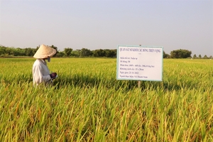Viet Nam’s agriculture redefines boundaries