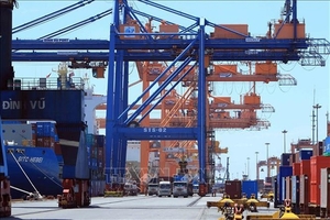 Dinh Vu Port approves 50% dividend payout