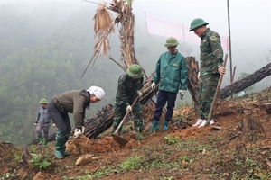 MEP says Viet Nam well-positioned to fight deforestation