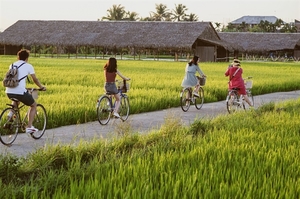 Viet Nam needs new regulations to develop agri-tourism land: experts