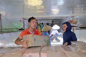 Hoa Binh Province ships second batch of fresh sugarcane to US