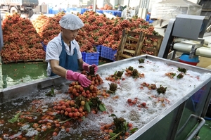 Viet Nam explores northern irradiation centre to boost fruit exports