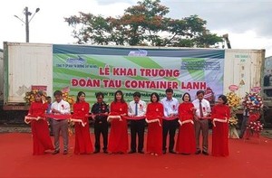 Refrigerated container train linking Bình Dương to China inaugurated