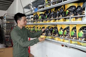 Sơn La develops economy from black garlic production