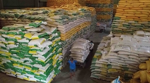 Vietnamese rice prices up after rice export ban of India, Russia, UAE