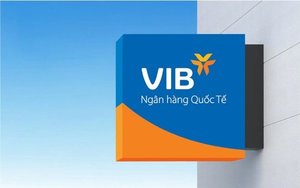 VIB's profit up 12%, ROE stands at 29% in H1