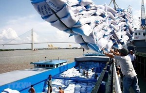 Viet Nam remains Philippines’ largest rice supplier