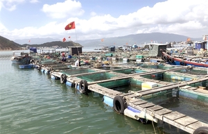 Large potential for mariculture