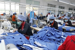 Plunge in Việt Nam’s exports bottoms out