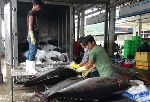Many opportunities to boost tuna exports to the UK