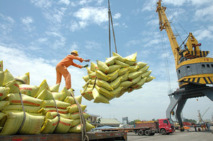 New challenges and opportunities for Việt Nam's rice exports