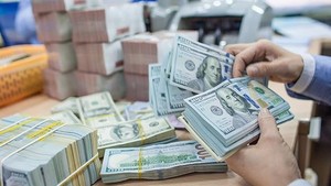 Foreign exchange rate forecast not to be under great pressure as in 2022