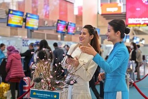Vietnam Airlines transports apricot, peach blossoms for Tết