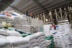 Rice exporters cautious about selecting orders to avoid risks