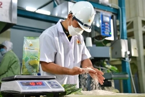 Lộc Trời Group sees strong revenue growth