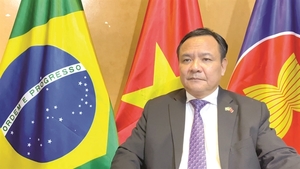 Việt Nam produce gets ambassador's seal of approval