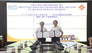 Huế City, Murano Group promote cooperation programmes