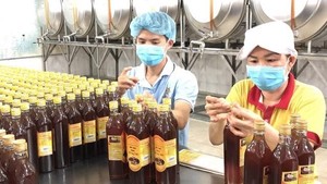 US extends issuance of final findings of anti-dumping duties on Vietnamese honey