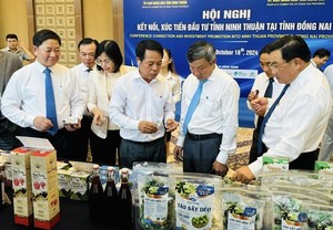 Ninh Thuận seeks investments from Đồng Nai in key sectors