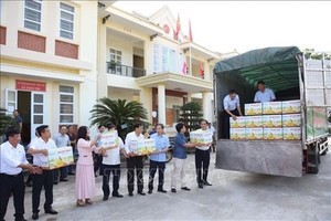 Tuyên Quang exports nearly 8,000 Soi Hà pomelos to UK