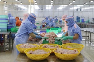 VN earns over US$7 billion from fishery exports in nine months