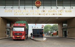 Việt Nam to end unofficial-quota exports to China by 2030