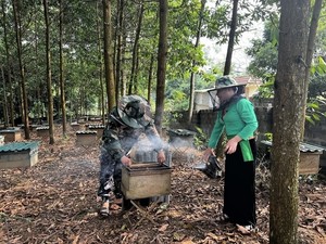 Hòa Bình honey awaits reactions from UK