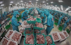 VN's food processing industry struggles to improve quality and value chain integration