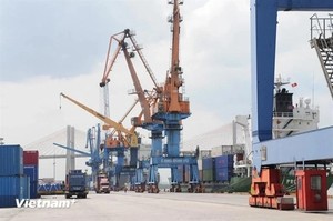 Peru’s mega-port to open opportunities for Việt Nam's import-export, logistics