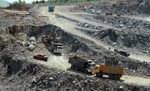 Việt Nam increases ore and mineral imports