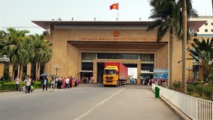 Trade turnover through Móng Cái border gate increases over 30%
