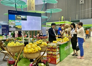 Horticulture, floriculture tech expo opens in HCM City