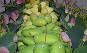 Việt Nam sees large potential in veggie, fruit exports to Southeast Asia, Middle East: forum