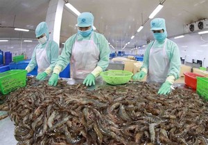 Việt Nam's shrimp exports expect growth this year