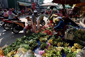 ADB projects VN’s economic growth at 6% in 2024, 6.2% in 2025