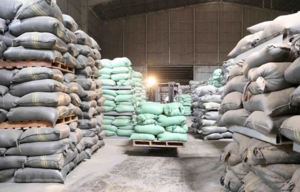 State reserves department authorises purchases of 220,000 tonnes of rice for 2024