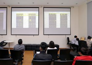 Market likely to face some fluctuations