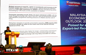 Big opportunities remain for Vietnam and Malaysia to partner in new technology areas: Official
