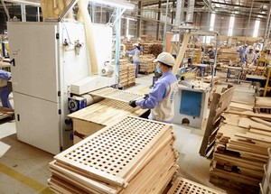 Green production, trade will help wood industry increase export: Viforest