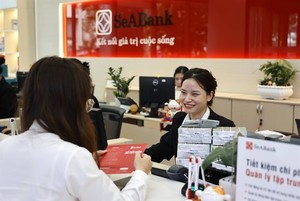 Norfund provides $30 million convertible loan to SeABank