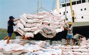 Việt Nam remains the Philippines' largest rice export partner