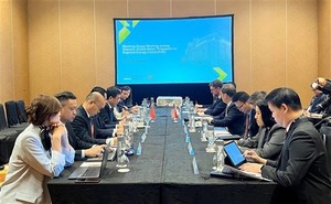 Việt Nam actively engages in regional green transition