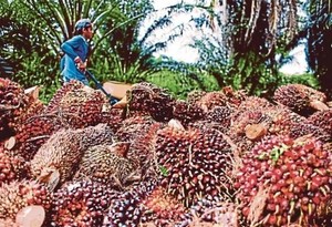 Malaysia to boost exports to Việt Nam