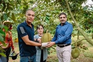 Đắk Nông durian farmers reap bountiful harvests thanks to sustainable practices