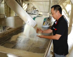 Vietnamese wheat flour products pass export examination for Taiwan entry